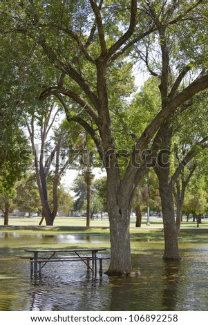 Monsoon season flood in Cortez park, Phoenix, Arizona