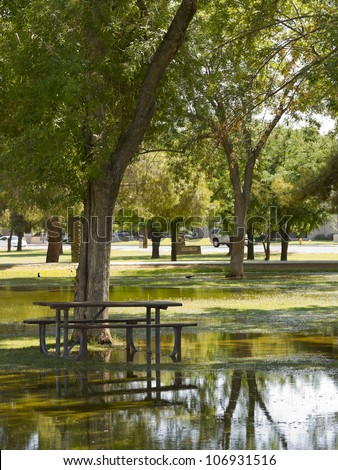 Standing rain water around picnic table during summer monsoon season; Cortez park, Phoenix, Arizona