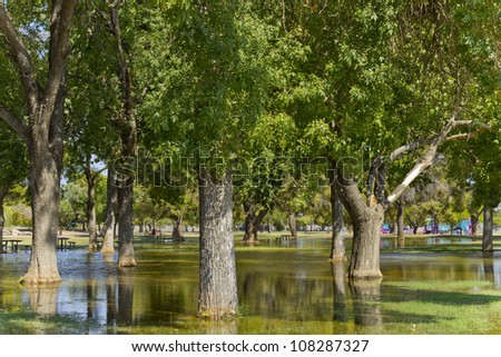 Summer Monsoon season flood in Cortez park, Phoenix, Arizona