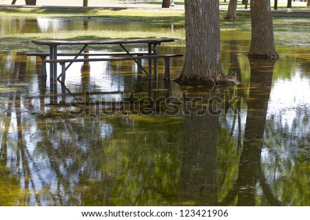 Standing rain water of monsoon season in Cortez park, Phoenix, Arizona