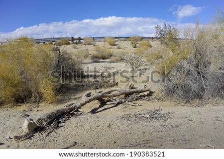 Weathered dry tree trunk on clay and sand ground near desert highway, California