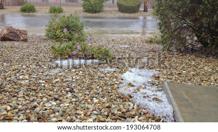Spring storm floods streets and drops patches of snow in front yards of desert city, Phoenix, AZ