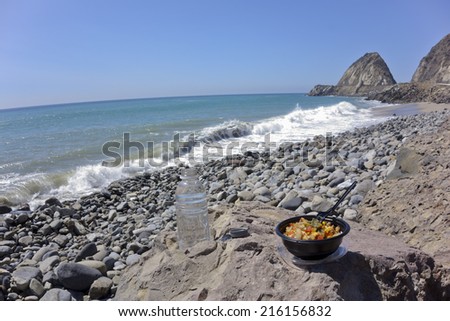 Chicken with veggie bowl and soft drink at Thornhill Beach near Point Mugu, Ventura, CA (focus on the bowl)
