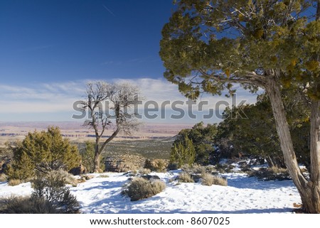 Grand Canyon in Winter as seen from Desert View Point