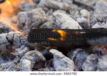 Hot Flames and White Ashes of Black Burned Wooden Logs