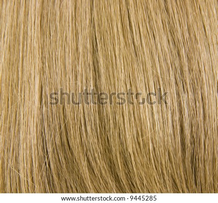 Natural Blond Hair Background; close up view
