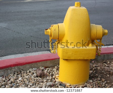 yellow fire hydrant near road; close up