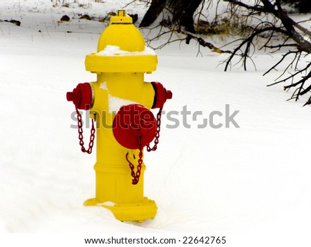 Frozen Red and Yellow Fire Hydrant in Winter Snow