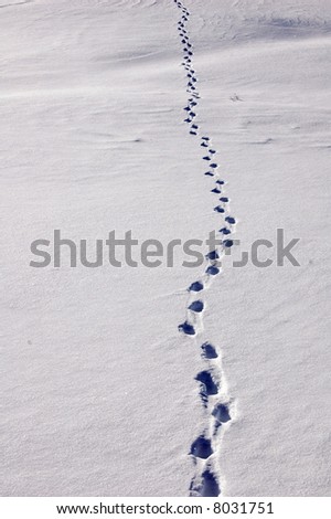 human footprints in a snowy field in the swiss alps