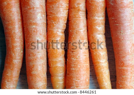 close-up / micro / macro image of a bunch of organic carrots in natural light
