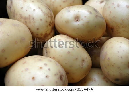 close-up / macro / micro image of a bunch of organic potatoes