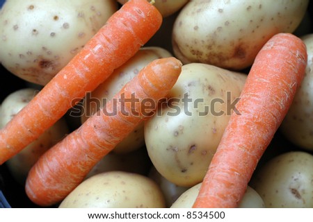 close-up / macro / micro image of a bunch of organic potatoes and carrots