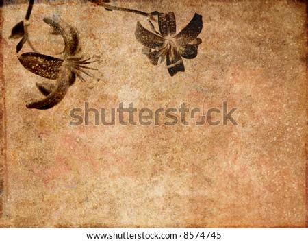 Beautiful Brown Background