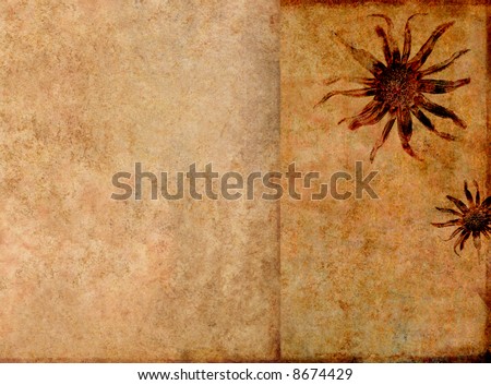 effective brown background image with interesting texture and floral elements with plenty of space for text