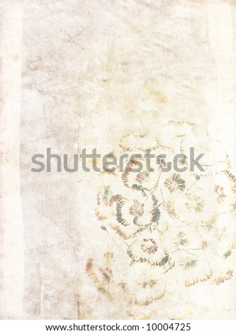 lovely white background image with interesting texture, floral elements and plenty of space for text