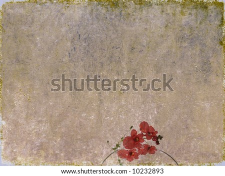 lovely background image with interesting texture and close-up of interesting flowers