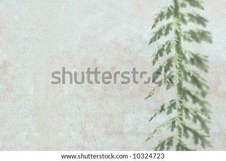 lovely white background image with interesting texture, floral elements and plenty of space for text