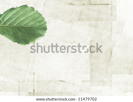 lovely background image with interesting texture, close-up of leaves and plenty of space for text