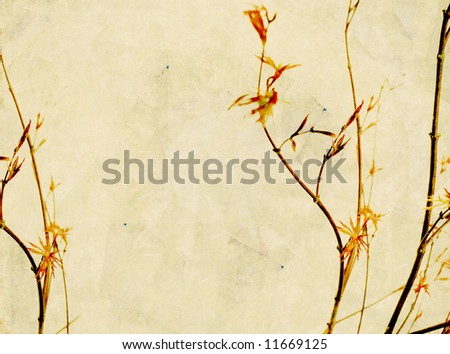 lovely background image with interesting texture, close-up of tree branches and plenty of space for text