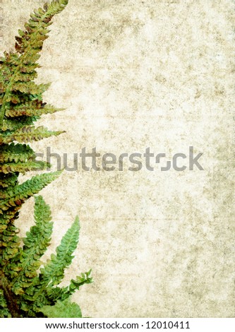 lovely background image with interesting texture, close-up of a leaf and plenty of space for text