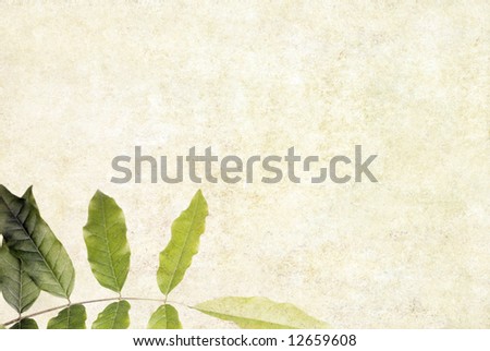 lovely background image with interesting earthy texture, close-up of leaves and plenty of space for text