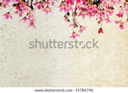 lovely white background image with interesting earthy texture, floral elements and plenty of space for text