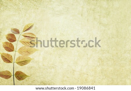 lovely brown background image with interesting texture and brown leaves