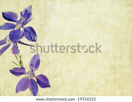 lovely brown background image with purple floral elements