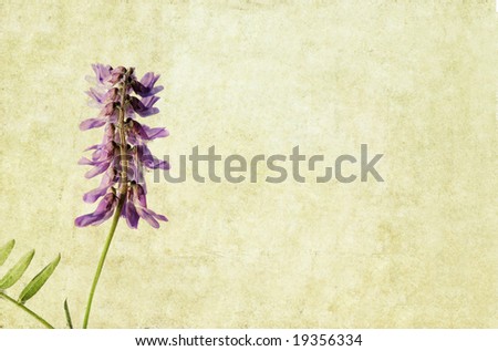 lovely brown background image with purple floral elements