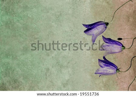 lovely background image with purple floral elements