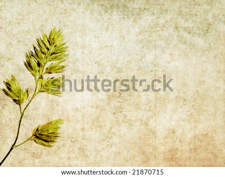 lovely background image with floral elements