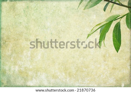 lovely background image with leaves