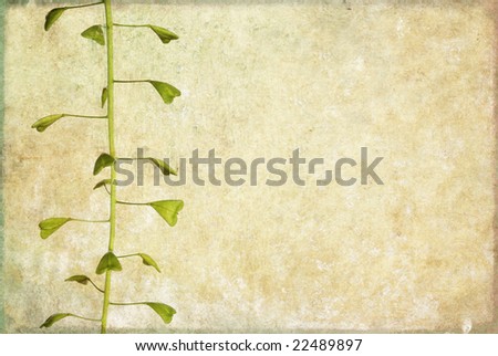 lovely background image with leaves