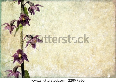 lovely background image with purple floral elements