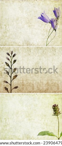 lovely background textures or banners. very useful design element.
