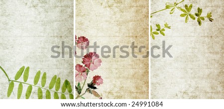 lovely background textures or banners. very useful design elements.