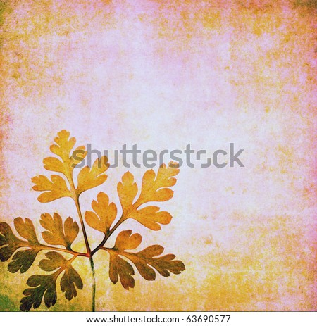 lovely background image with floral elements. useful design element.