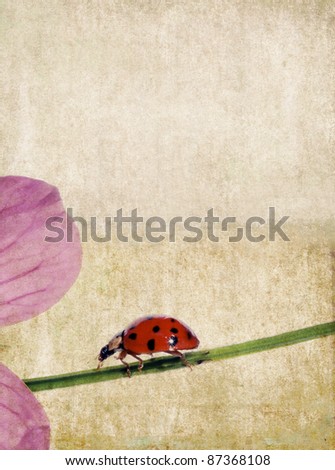 lovely earthy background and design element with ladybird
