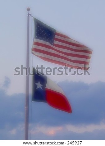 US and Texas Flags