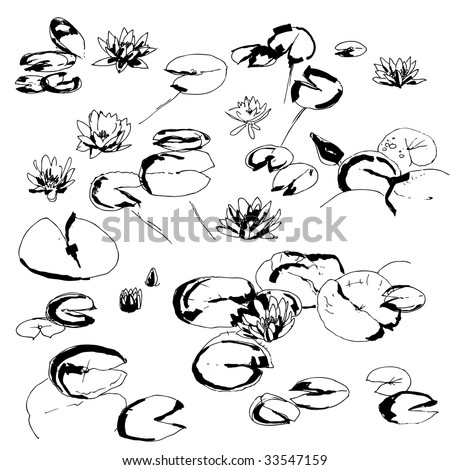 stock vector Black and white handdrawing lotus flower collection