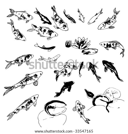 stock vector Black and white handdrawing koi fish collection
