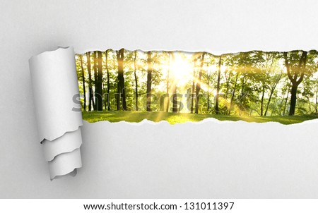 Gray Torn Paper And Green Forest Background