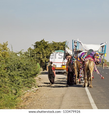 Square format of a camel caravan train making its way to Rajasthan on Ahmedabad Road. Men have gone on ahead with flock of sheep and goats women, children follow with tents and household belongings