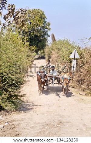 GUJARAT, INDIA - MARCH, 1: Farm workers riding on bullock cart transporting produce along a dirt track lined with bushes and trees to markets through countryside on March 1st, 2013 in Gujarat, India