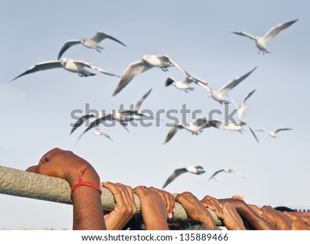 Passengers standing on the deck of a ferry from Bet Dwarka to mainland India holding on to a handrail for safety and stability with seagulls hovering overhead for food to be thrown.