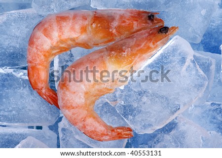 object on blue - Frozen shrimp close up