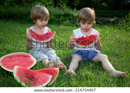 Little Twin Brothers Eating Watermelon on Green Grass in Summer Park
