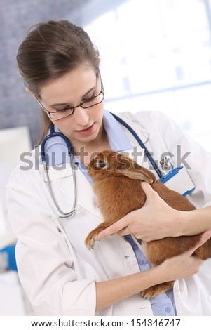 Vet holding brown pet rabbit patient at pets\' clinic.