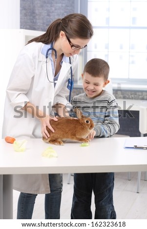 Happy kid at vet with rabbit, feeding bunny food, carrot, lettuce, veterinary examining pet on table,