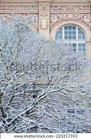Snow covered winter tree with ornate mansion wall outdoor.